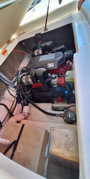 Rinker Captiva 246 mit rotem Bimini passend zu den roten Farbstreifen des Bootes, Blick auf den Motor