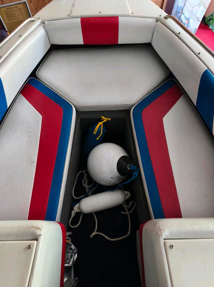 Wellcraft Eclipse 215 XL - hier ein Blick auf die vorderen Polster und Fender am Boden liegend
